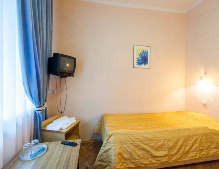 Стандарт 2 мест. - Парк-отель AMAKS «Ершово»