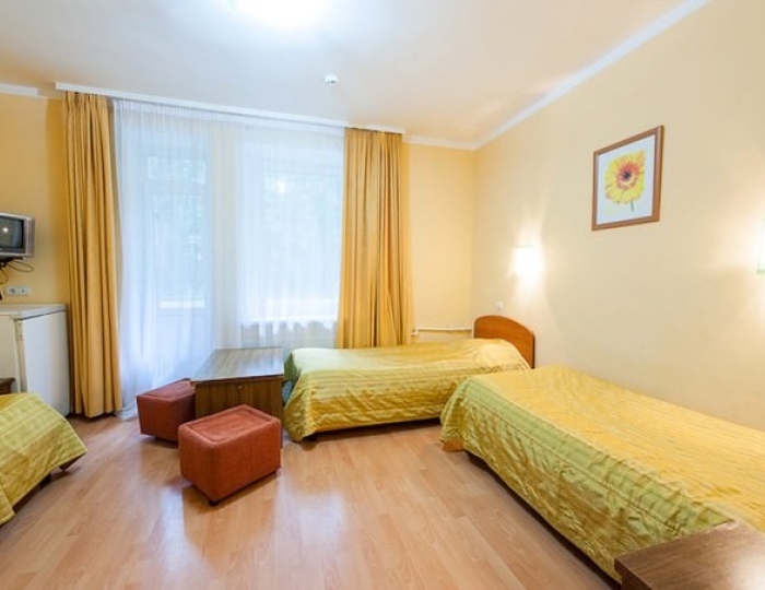 Стандарт 3 мест. - Парк-отель AMAKS «Ершово»